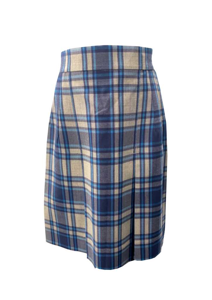 Timaru South School Skirt Blue Check